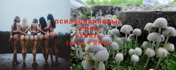 кокс Магас